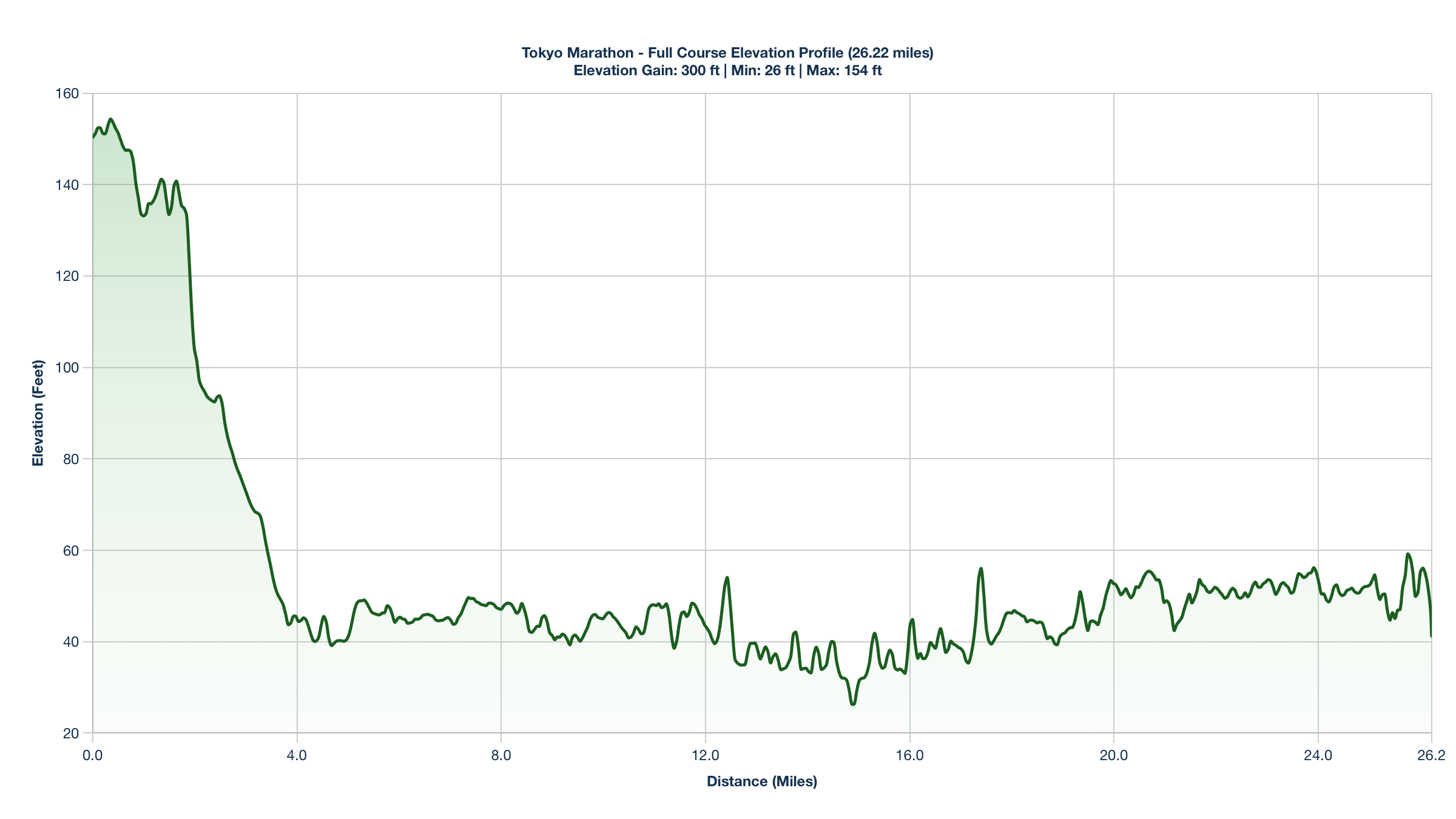 The Tokyo Marathon Elevation Profile